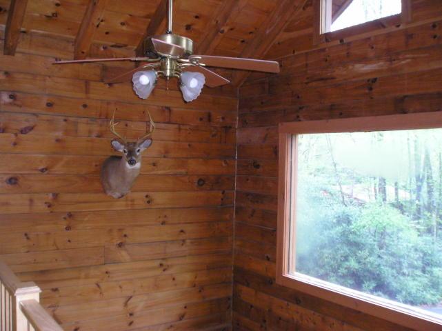 A deer head is hanging from the ceiling in a cabin