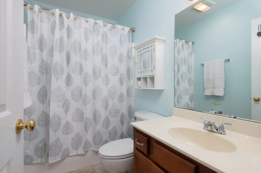 Nathan Mitchell - Johnson City, TN Airbnb Listing - Amenities - Hot Tub - Bathroom