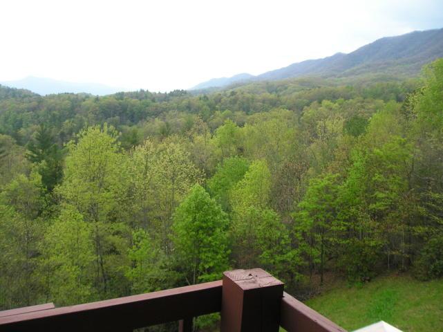 A view of a forest from a deck with mountains in the background.