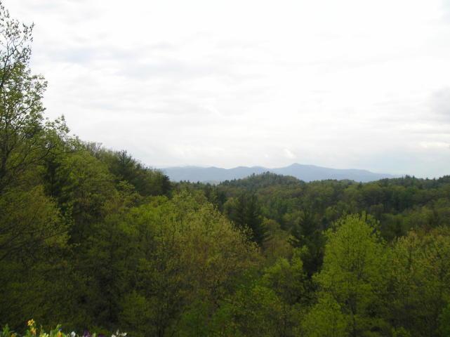 A view of a forest with mountains in the background on a cloudy day.
