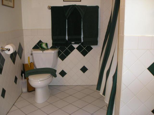 A bathroom with a toilet and a shower curtain