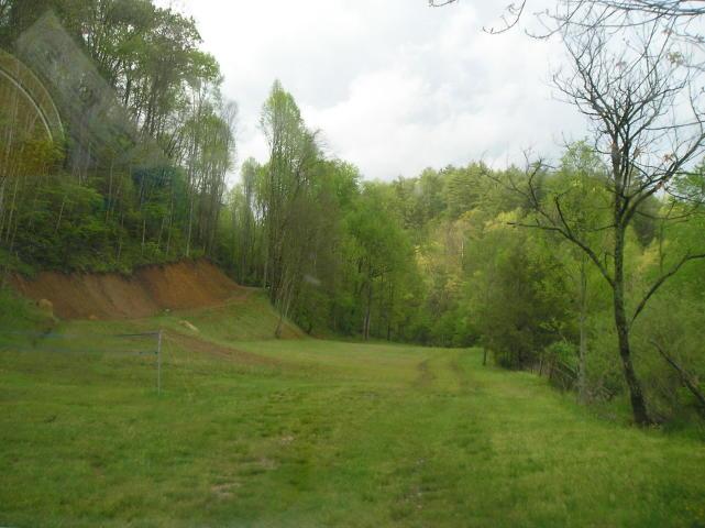 A lush green field surrounded by trees on a cloudy day.
