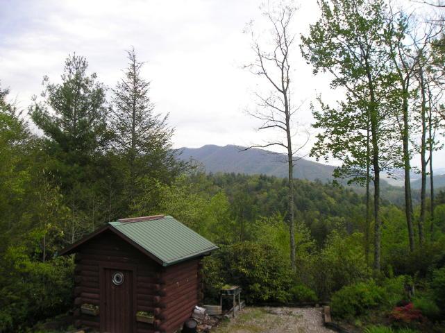 A small cabin in the middle of a forest with mountains in the background