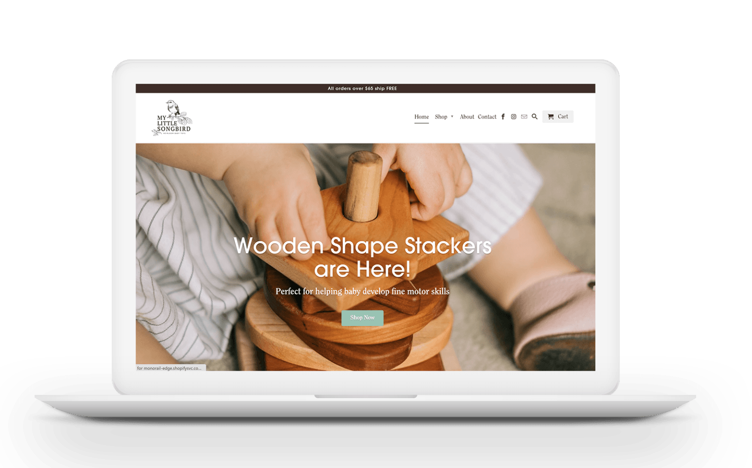 Shopify Website Designer 2