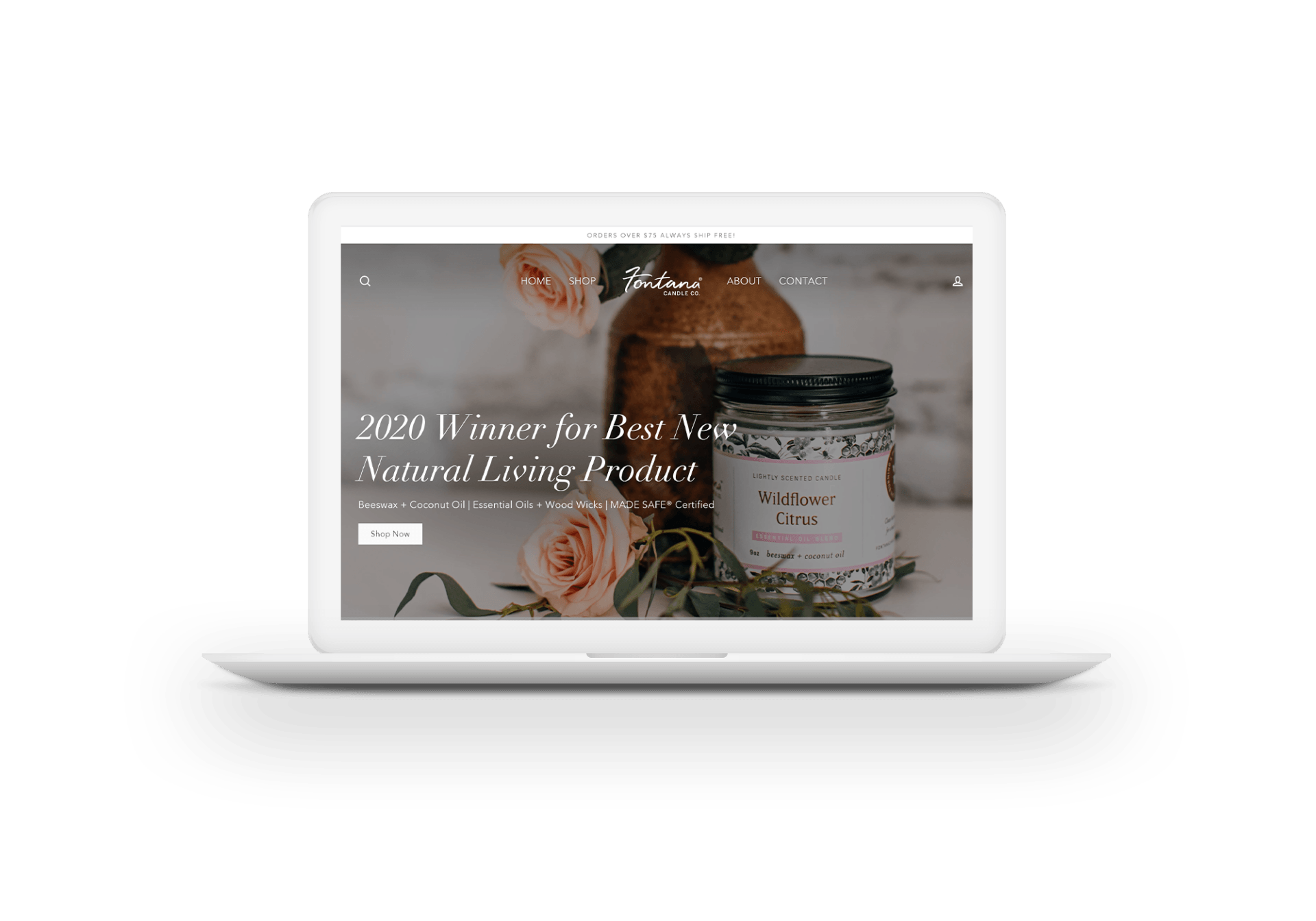 Custom Website Design Lancaster PA 3