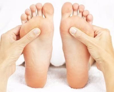 Primo piano di piante di piedi