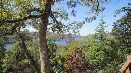 long-branch-view