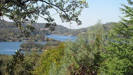 long-branch-view-2