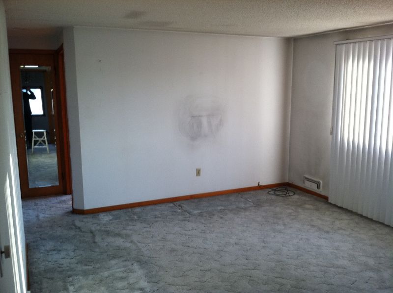 An empty living room with white walls and a carpeted floor