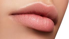 Lip Experts