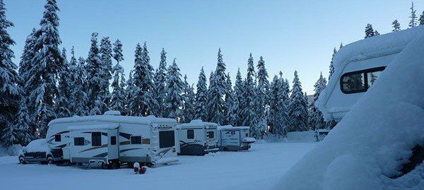 Snow-covered RVs parked in a snowy campsite surrounded by snow-laden evergreen trees under a blue sky.