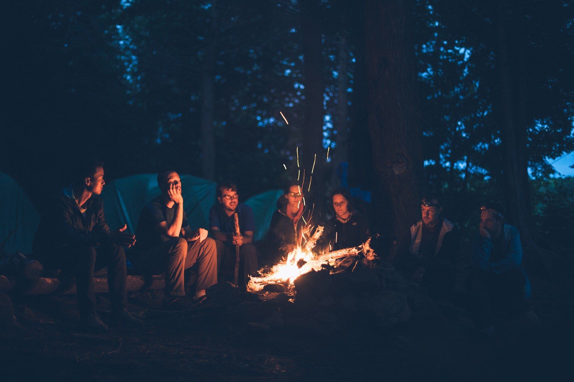 People sitting around a campfire in the dark, trees in the background, sparks flying.