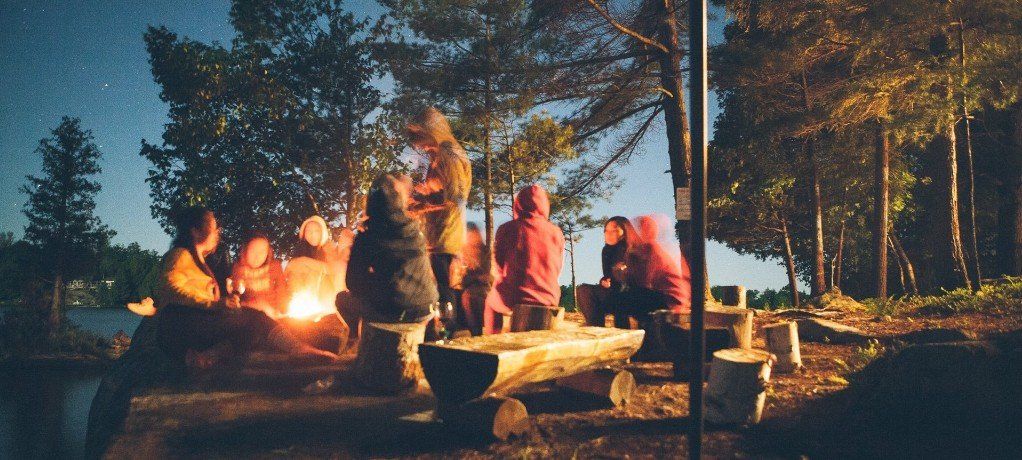 People gather around a campfire at night, seated on logs. Trees and a starry sky are visible.