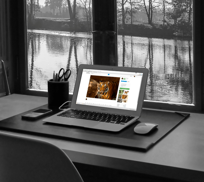 a laptop with a picture of a cat on the screen