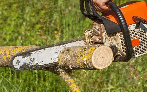 Man Cutting a Tree Branch with Chainsaw — Licensed Arborist Lismore, NSW Man Cutting a Tree Branch with Chainsaw — Licensed Arborist Lismore, NSW