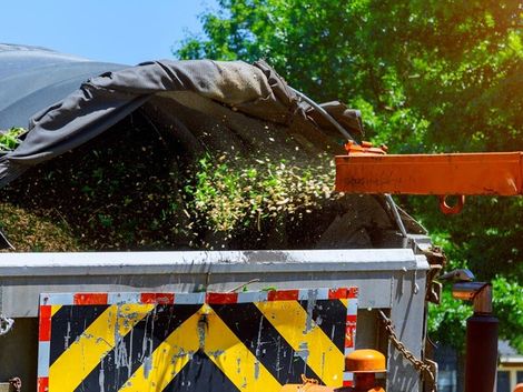 Red wood chipper putting tree mulch in white disposable bin — Tree Services Lismore, NSW Red wood chipper putting tree mulch in white disposable bin — Tree Services Lismore, NSW