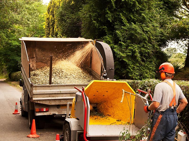 Wood Chipper Machine — Green’s Tree Lopping in Rous Mill, NSW Wood Chipper Machine — Green’s Tree Lopping in Rous Mill, NSW