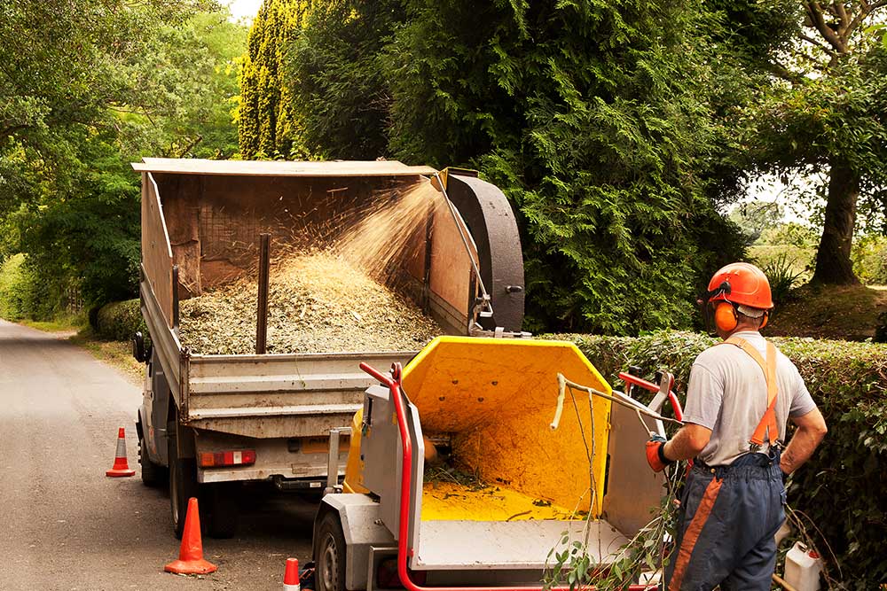 Man Cuts A Fallen Tree — Green’s Tree Lopping in Rous Mill, NSW Man Cuts A Fallen Tree — Green’s Tree Lopping in Rous Mill, NSW