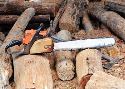 Chain Saws Cut Logs In Nature — Green’s Tree Lopping in Rous Mill, NSW Chain Saws Cut Logs In Nature — Green’s Tree Lopping in Rous Mill, NSW