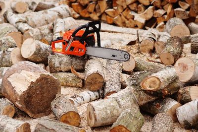 Chainsaw To A Wood From Tree — Green’s Tree Lopping in Rous Mill, NSW Chainsaw To A Wood From Tree — Green’s Tree Lopping in Rous Mill, NSW