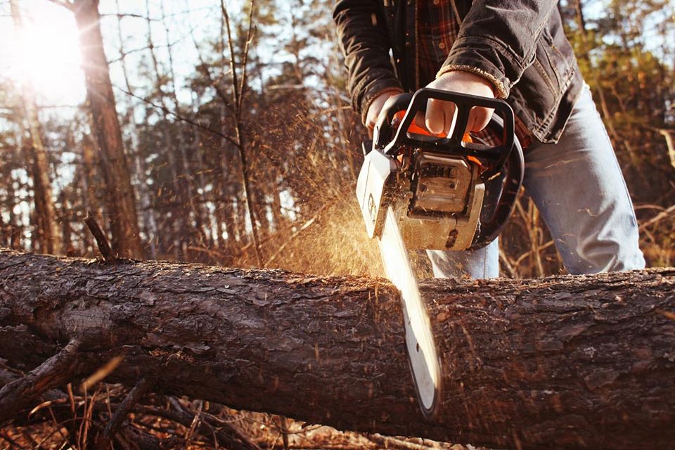 Working With Chainsaw In The Forest — Green’s Tree Lopping in Rous Mill, NSW Working With Chainsaw In The Forest — Green’s Tree Lopping in Rous Mill, NSW