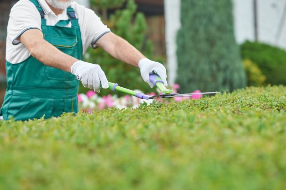 Lavori di giardinaggio