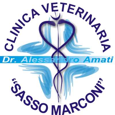 Logo clinica veterinaria “Sasso Marconi” con stetoscopio a forma di cuore blu e testo “Dr. Alessandro Amati”