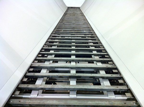 Trout River Industries conveyor