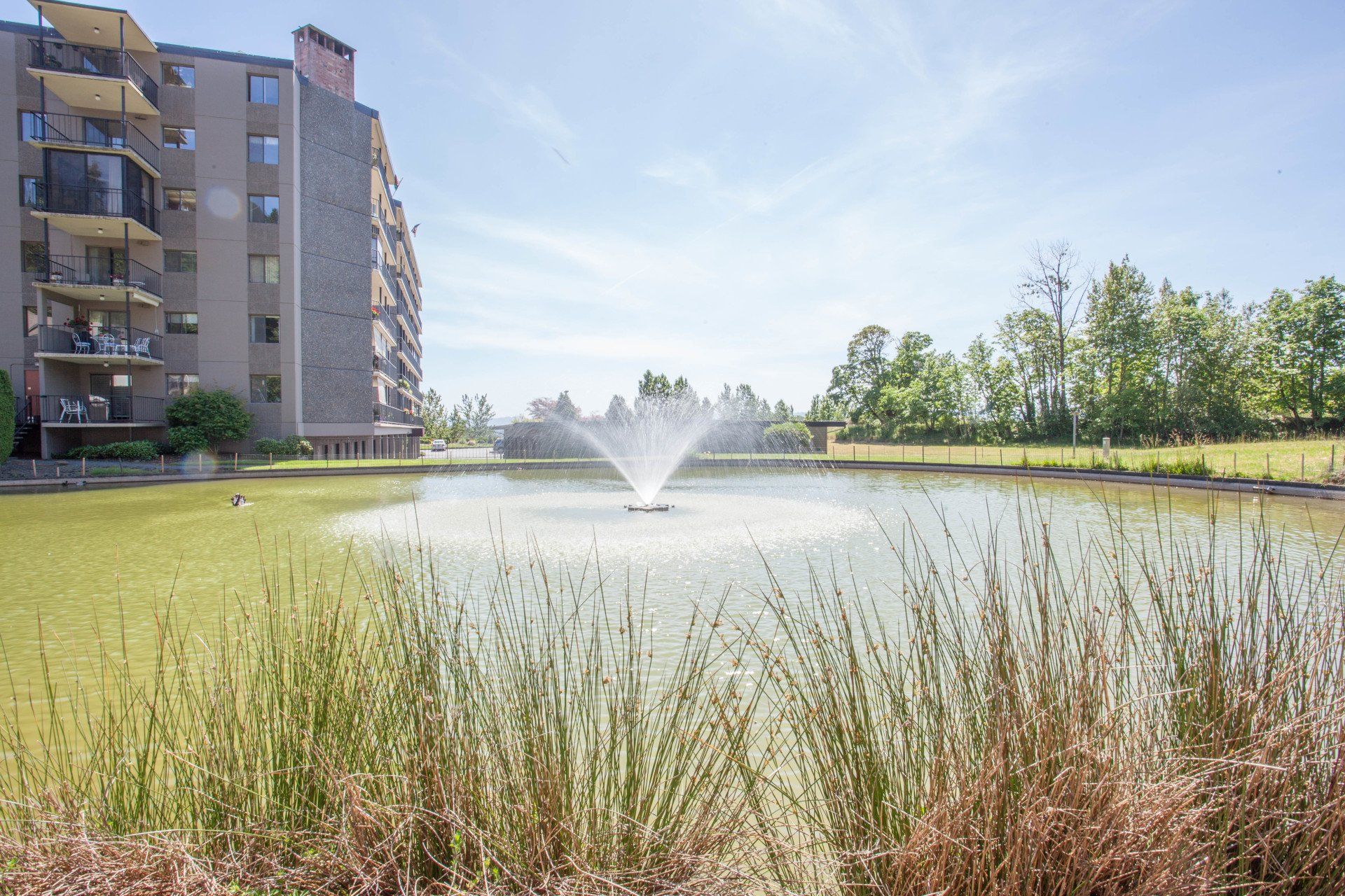 shorewood lake