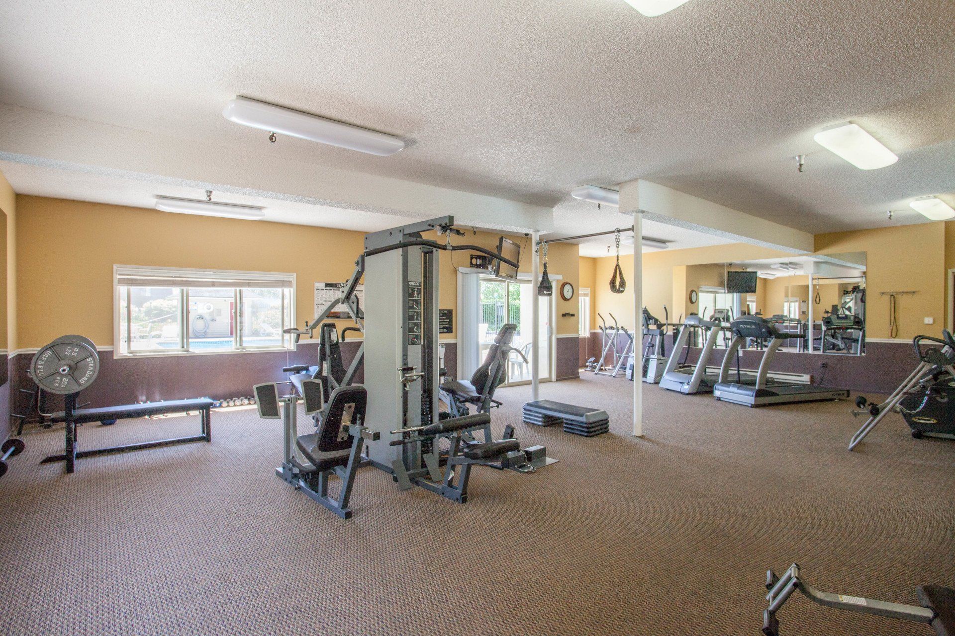 shorewood gym