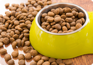 Pet Supplies — Dog Food in Northborough, MA Pet Supplies — Dog Food in Northborough, MA
