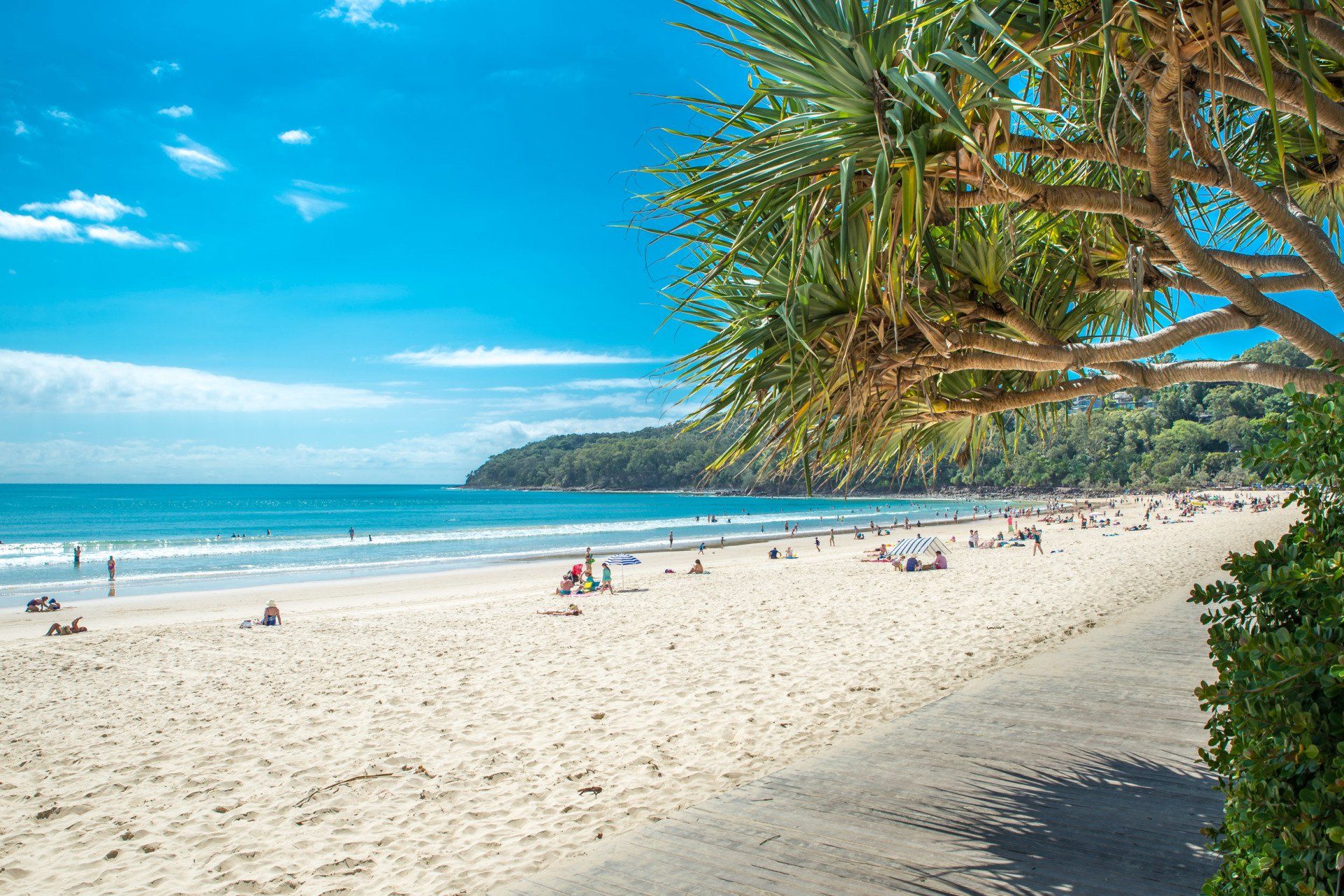 Boardwalk elopements Alexandra Headlands Noosa Wedding Celebrant