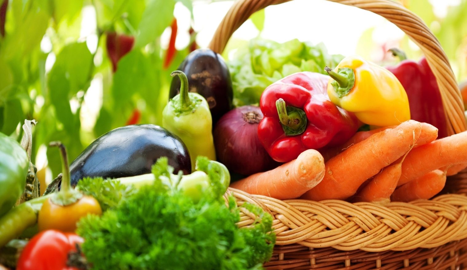 Healthy food and nutrition
