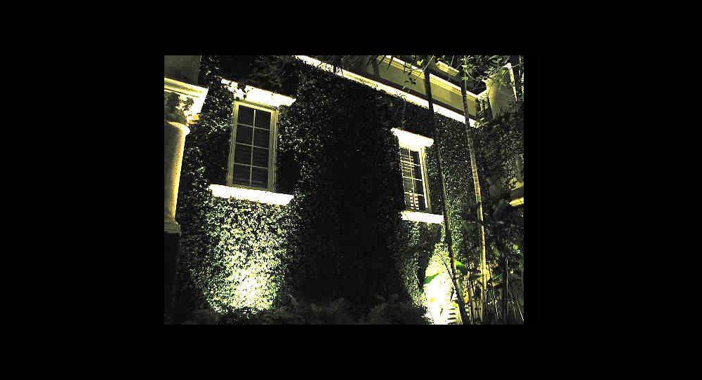 Architectural Lighting by Landscape Lighting of Miami