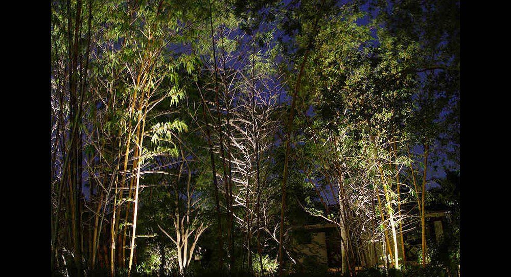 Landscape Lighting by Landscape LIghting of Miami