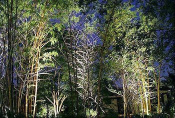 Lampscape Lighting by Lampscape Lighting of Miami