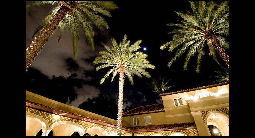 Landscape Lighting by Landscape LIghting of Miami