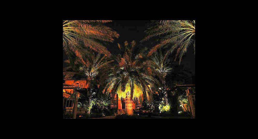 Landscape Lighting by Landscape LIghting of Miami