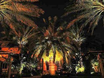Lampscape Lighting by Lampscape Lighting of Miami