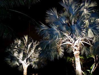 Lampscape Lighting by Lampscape Lighting of Miami