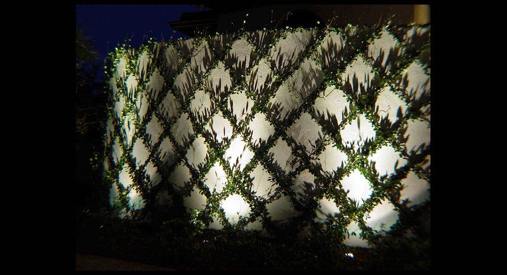 Landscape Lighting by Landscape LIghting of Miami