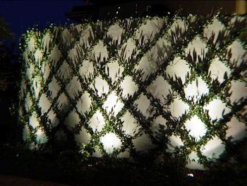 Lampscape Lighting by Lampscape Lighting of Miami