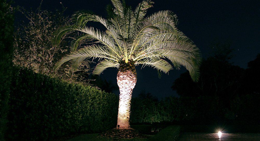 Landscape Lighting by Landscape LIghting of Miami