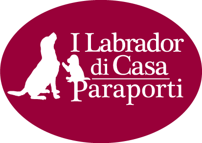 Casa Paraporti - Allevamento labrador a Pavia Casa Paraporti - Allevamento labrador a Pavia