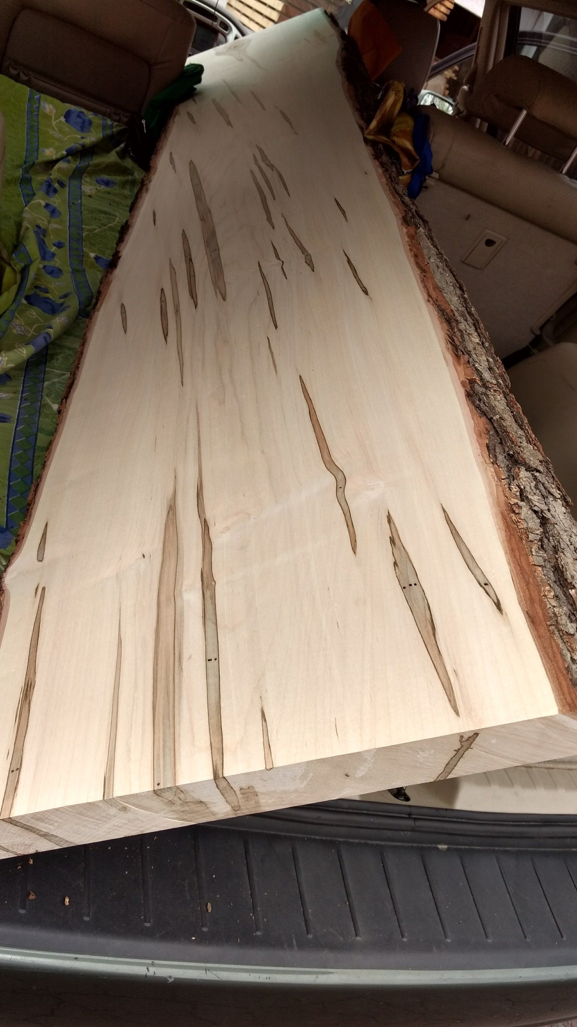 Light-colored wood slab with dark streaks, partially in a vehicle. Rough bark edge, bright interior.