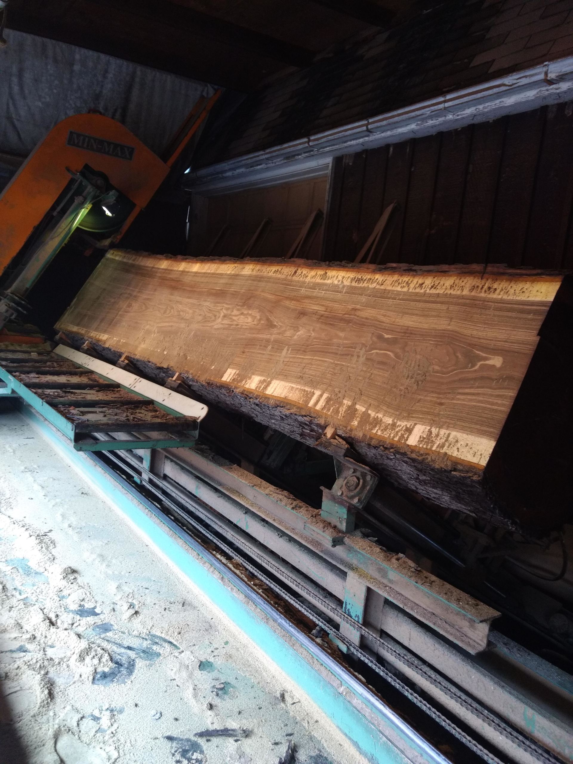 A large plank of wood being processed in a sawmill.