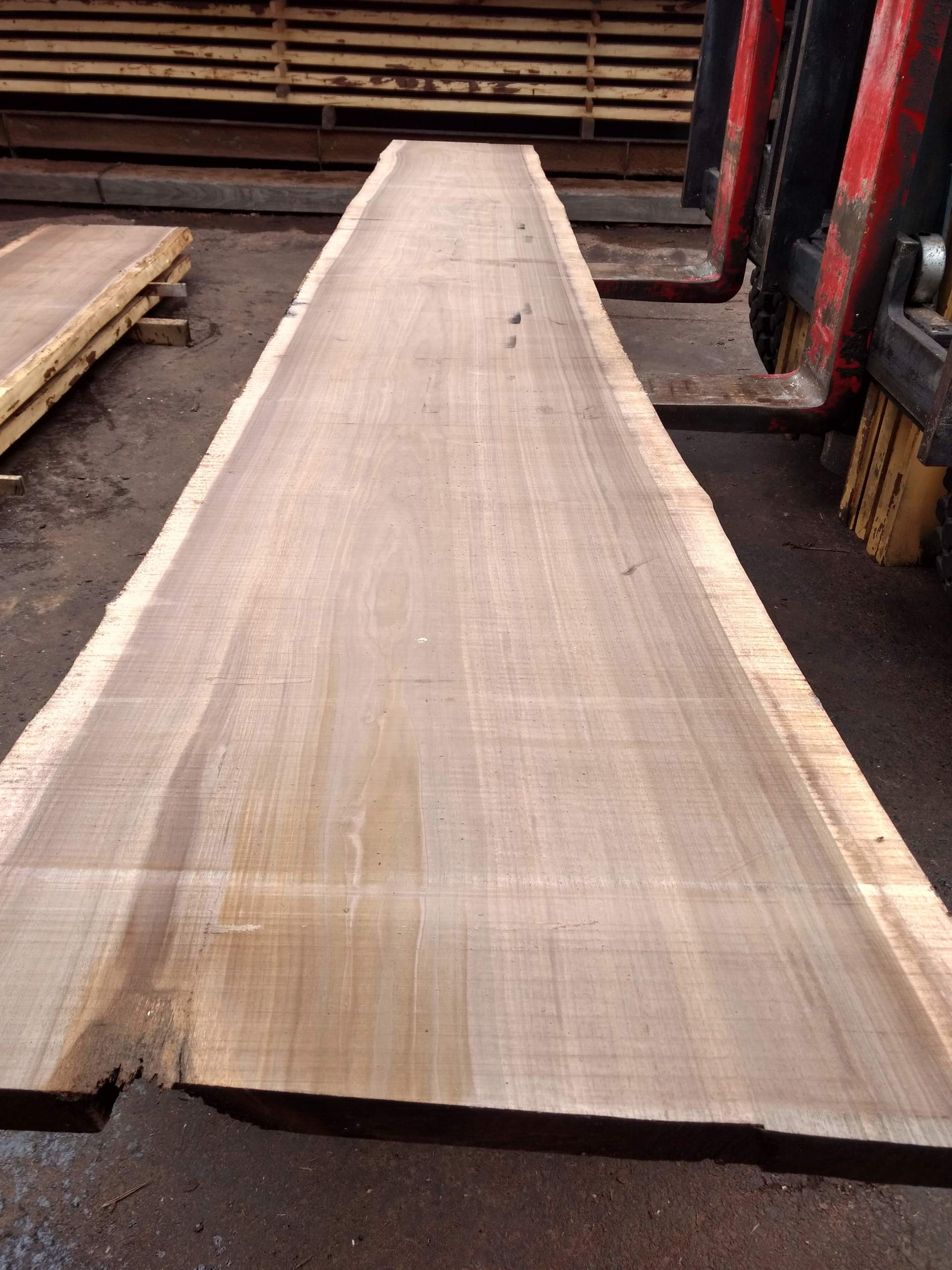 Wide, light-brown wood slab, likely a table top, on a forklift. Darker, rough edge. Warehouse setting.