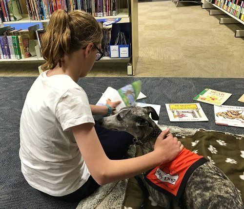 girl reading with story dog