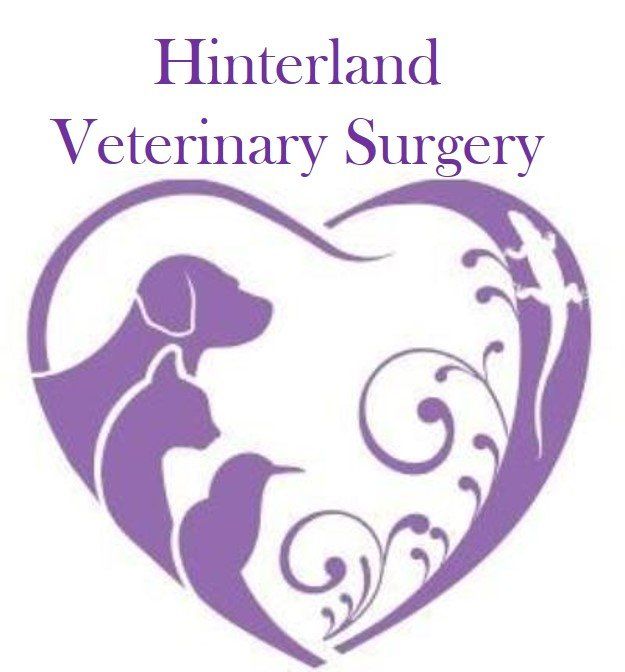 Hinterland Veterinary Surgery