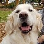 'Gracie'